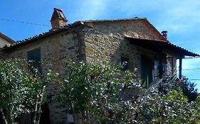 La Cuccia - La Villa-San Pacrazio
